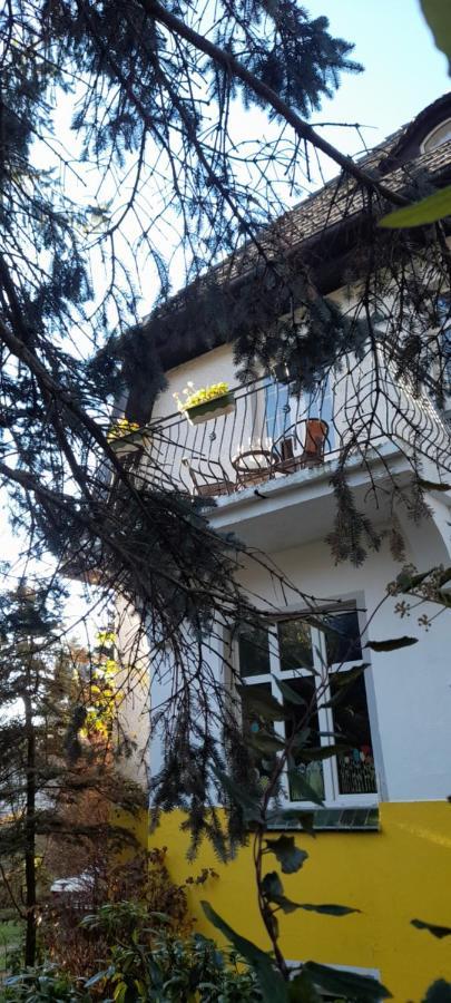Mountain Villa View Apartment Jelenia Góra Kültér fotó